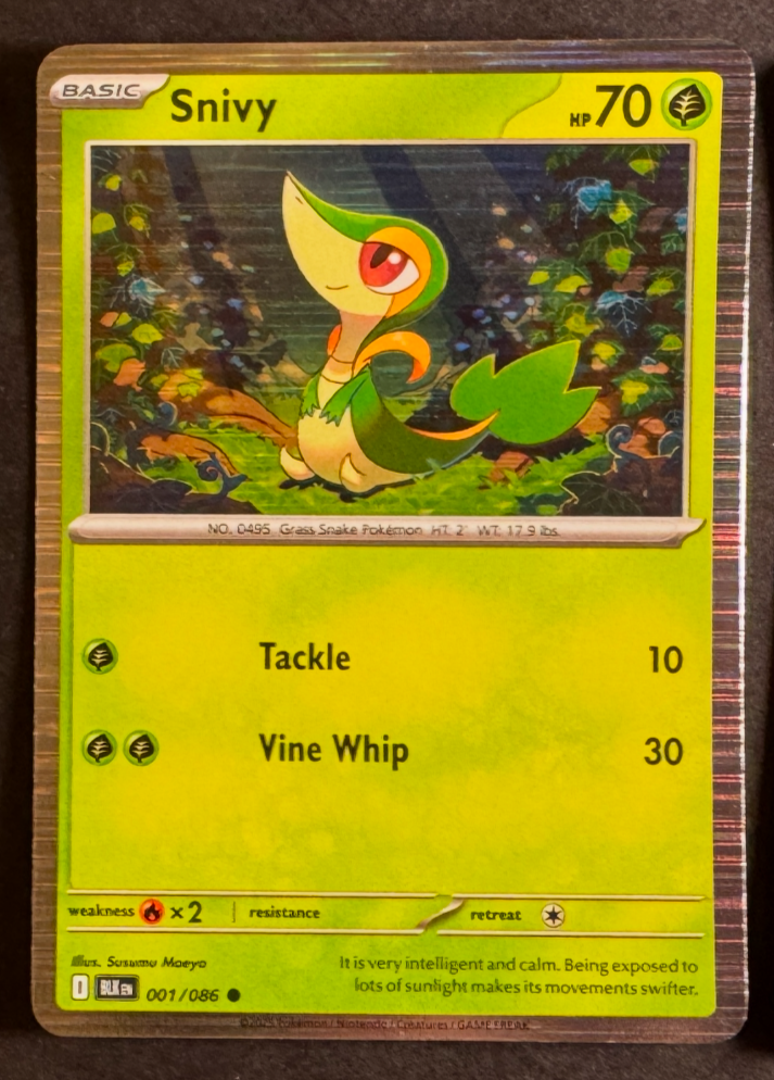 Pokemon Scarlet & Violet Black Star Promos Cosmo Holo - Pokemon Choose Your Card