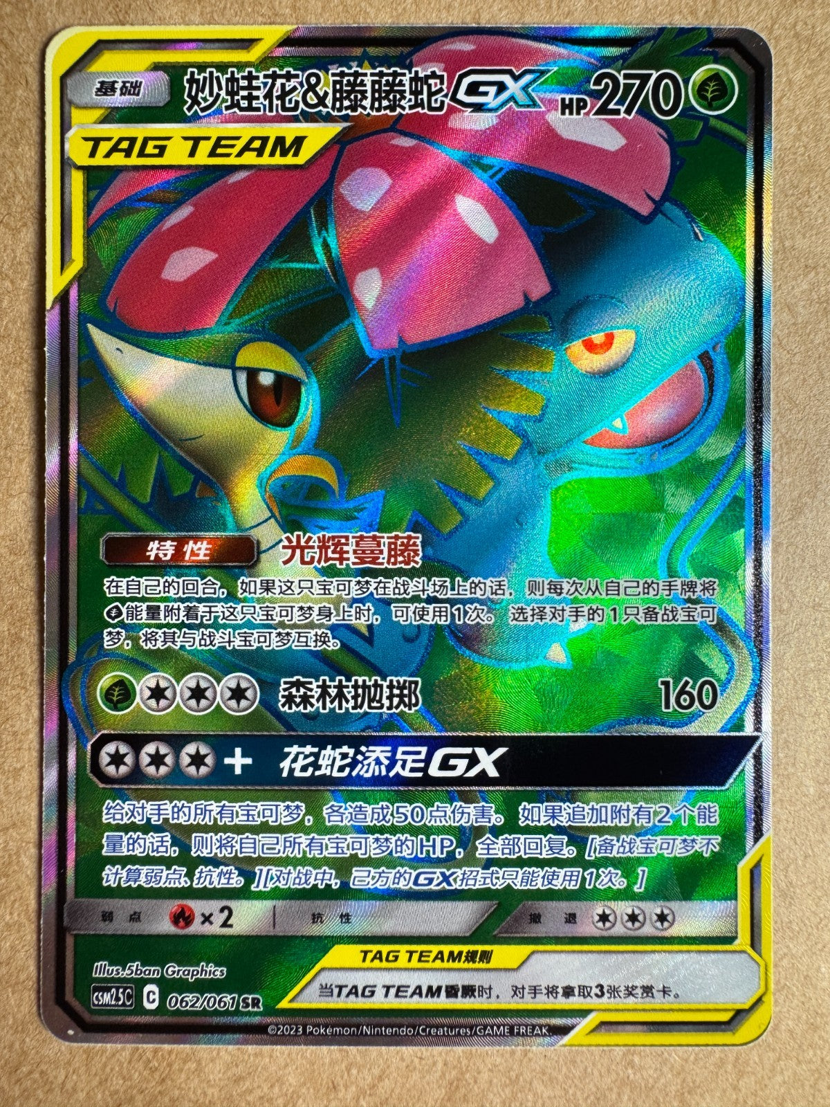Venusaur & Snivy Tag-Team Full Art GX 062/061 csm2.5C Chinese Pokemon Card